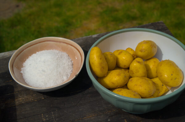 Kartoffeln für Papas Canarias